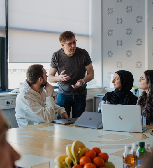 Alfa Laval_System Verification